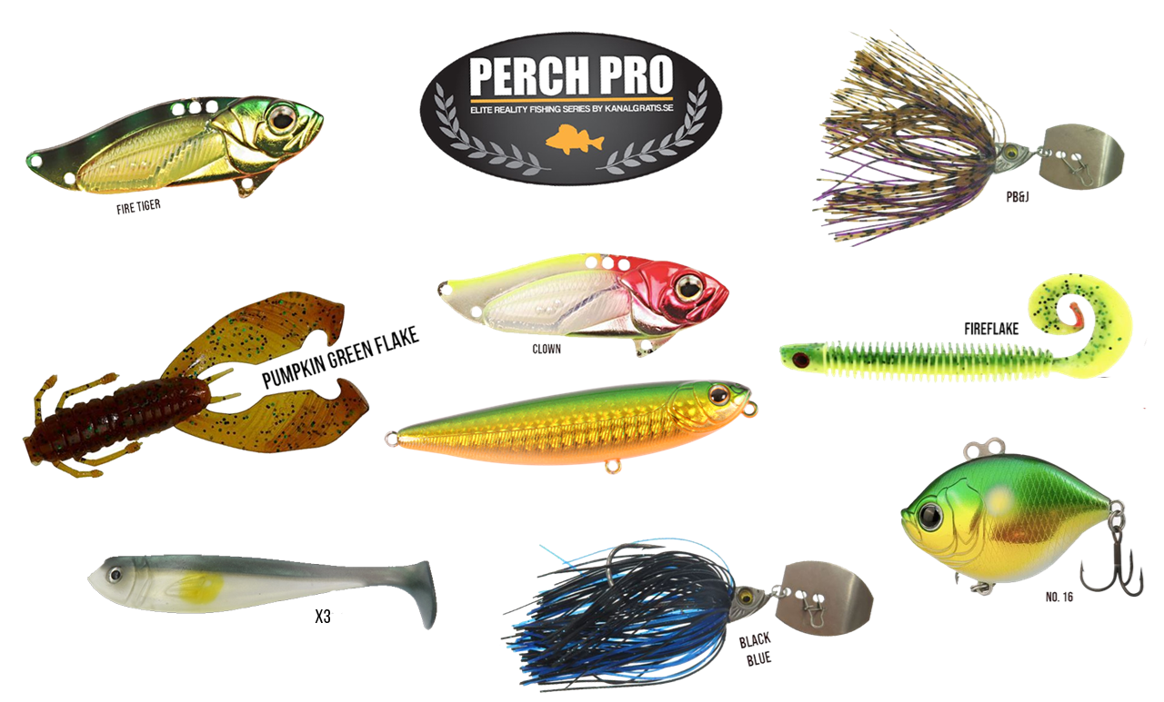 Perch Fishing Combo - Spinning - Kanalgratis