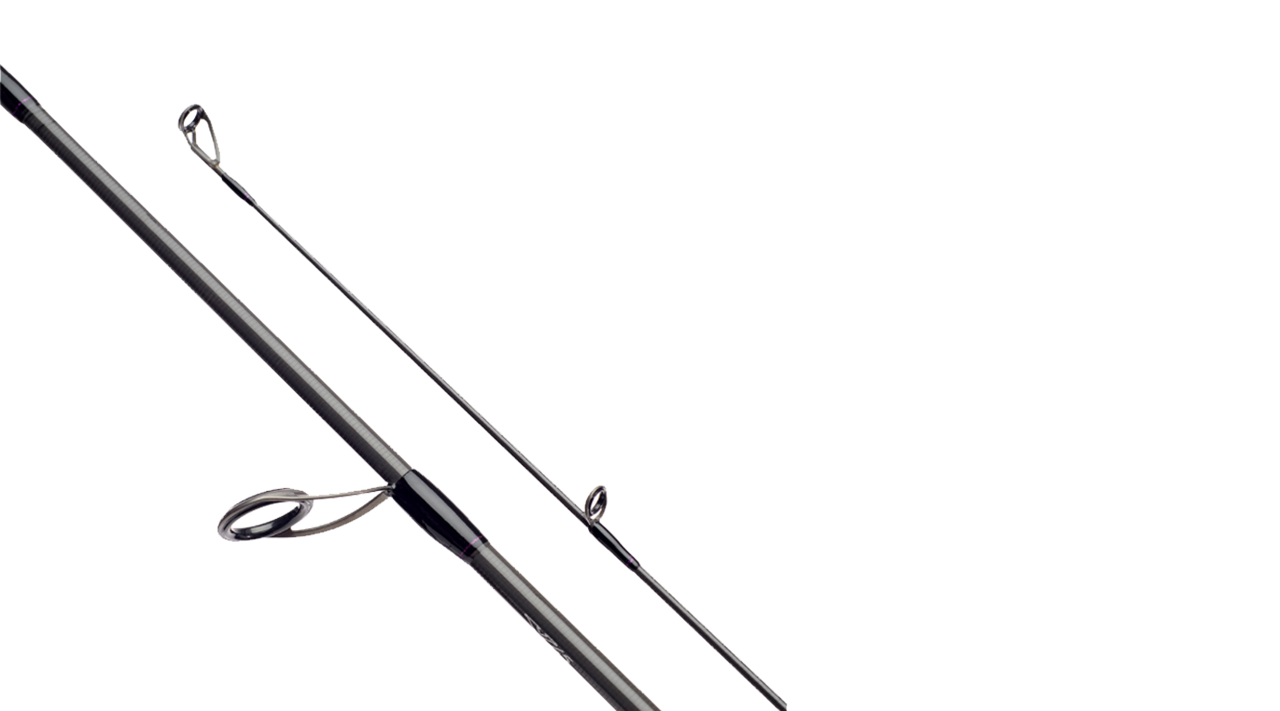 Picture of Daiwa Prorex XR Haspelspö  8'/244cm, 50-100g