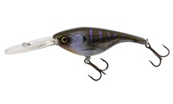 Picture of Westin BabyBite DR Crankbait 6,5cm Crazy Bluegill