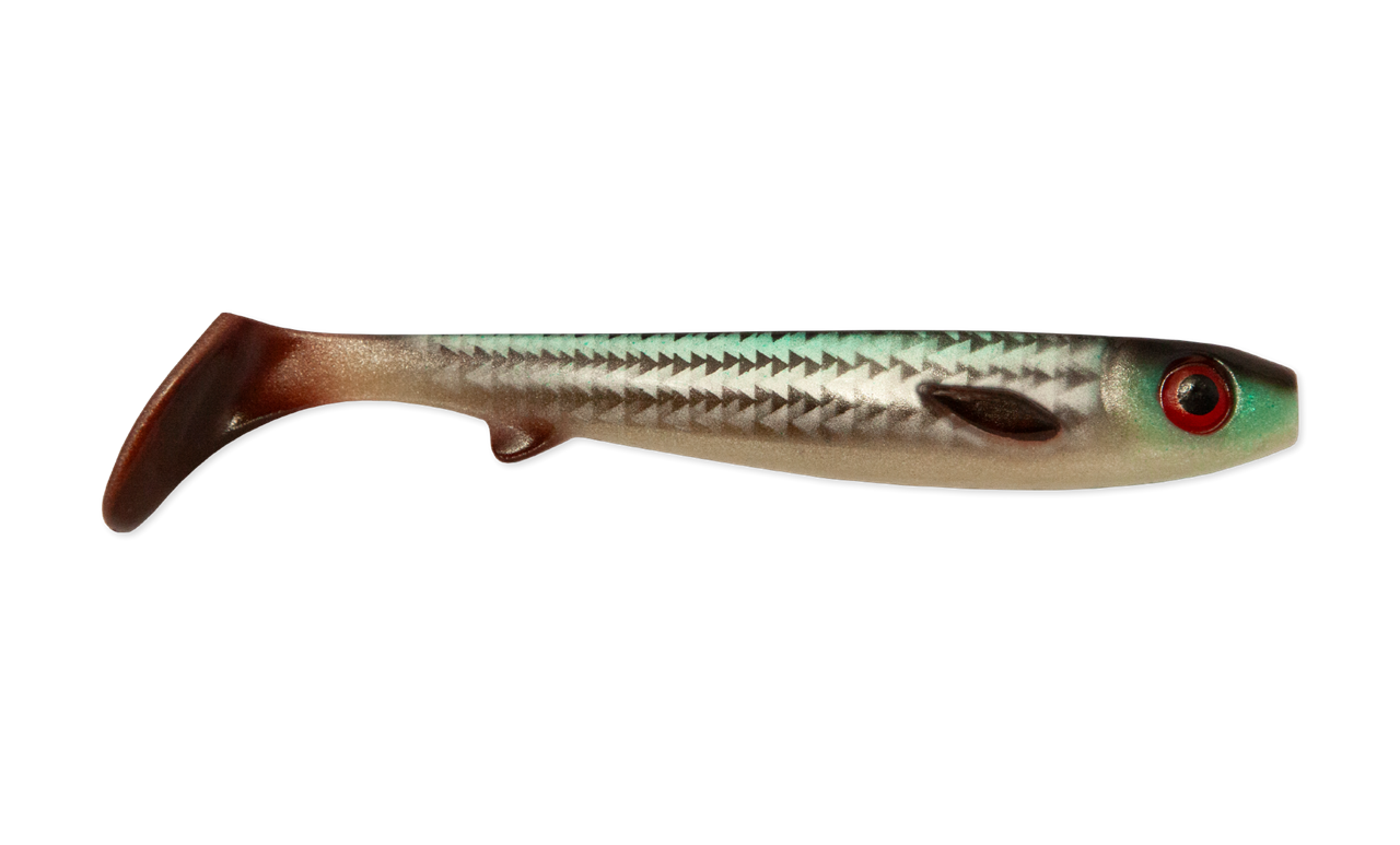 Picture of Flatnose Shad 19cm