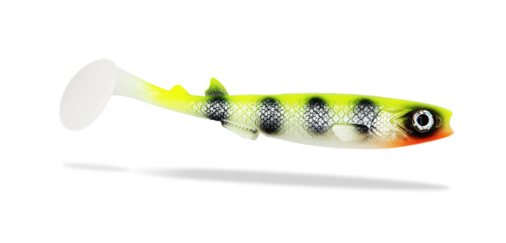 Picture of Renky Shad V2 - 15cm, 3-pcs