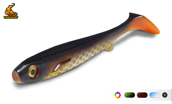 Bild på Flatnose Shad Jr 15cm 2-pack