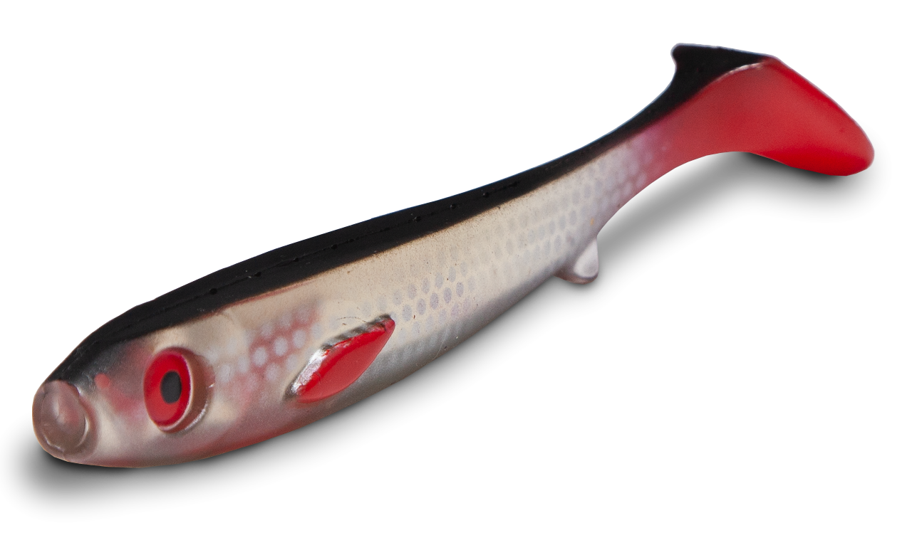 Picture of Flatnose Shad 19cm